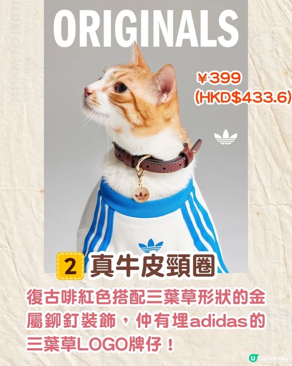 寵物都有運動衫⁉️adidas Originals寵物系列開售🔥可著親子裝/復古仿皮寵物袋💸附售價