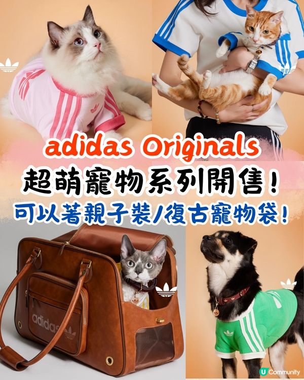 寵物都有運動衫⁉️adidas Originals寵物系列開售🔥可著親子裝/復古仿皮寵物袋💸附售價
