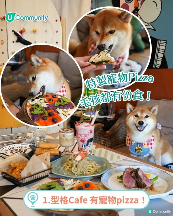 香港人氣寵物友善餐廳推介🐱🐶 | 貓狗都入得！特製寵物Pizza🍕