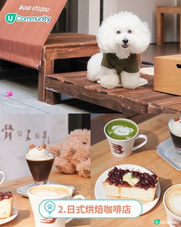 香港人氣寵物友善餐廳推介🐱🐶 | 貓狗都入得！特製寵物Pizza🍕