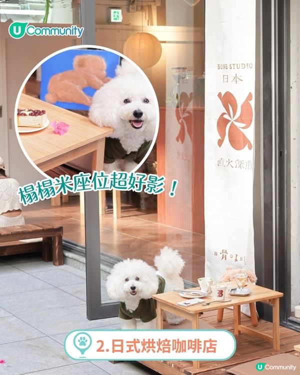 香港人氣寵物友善餐廳推介🐱🐶 | 貓狗都入得！特製寵物Pizza🍕