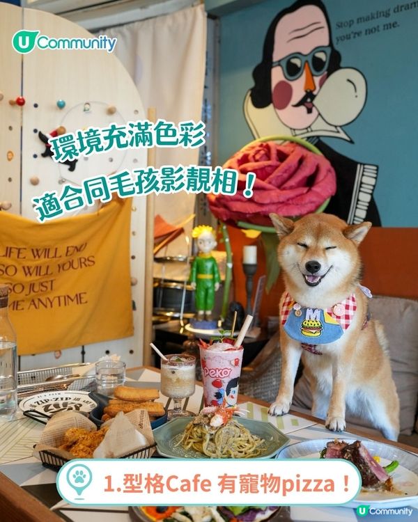 香港人氣寵物友善餐廳推介🐱🐶 | 貓狗都入得！特製寵物Pizza🍕