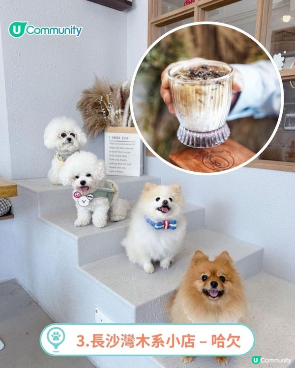 香港人氣寵物友善餐廳推介🐱🐶 | 貓狗都入得！特製寵物Pizza🍕