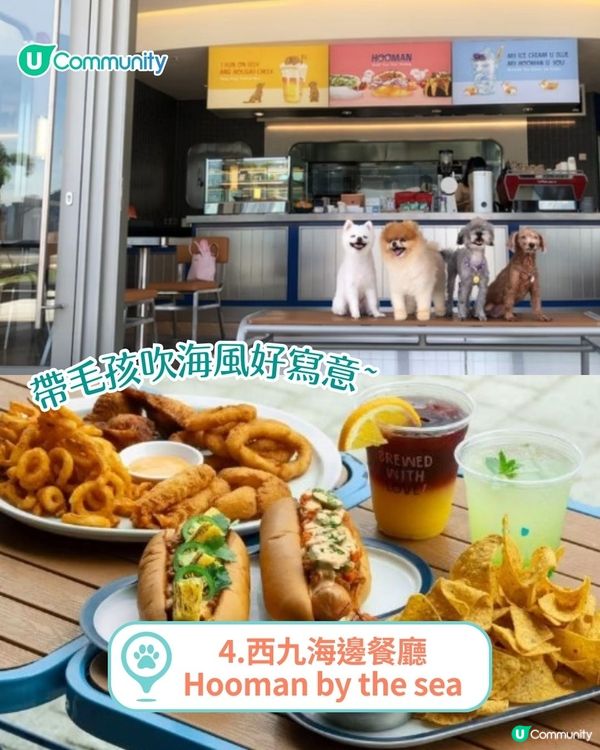 香港人氣寵物友善餐廳推介🐱🐶 | 貓狗都入得！特製寵物Pizza🍕