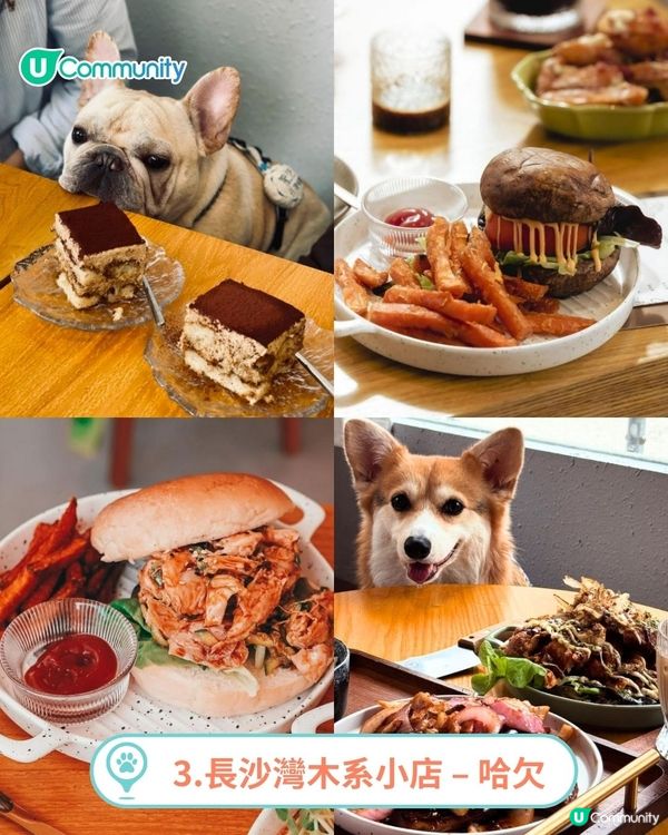 香港人氣寵物友善餐廳推介🐱🐶 | 貓狗都入得！特製寵物Pizza🍕