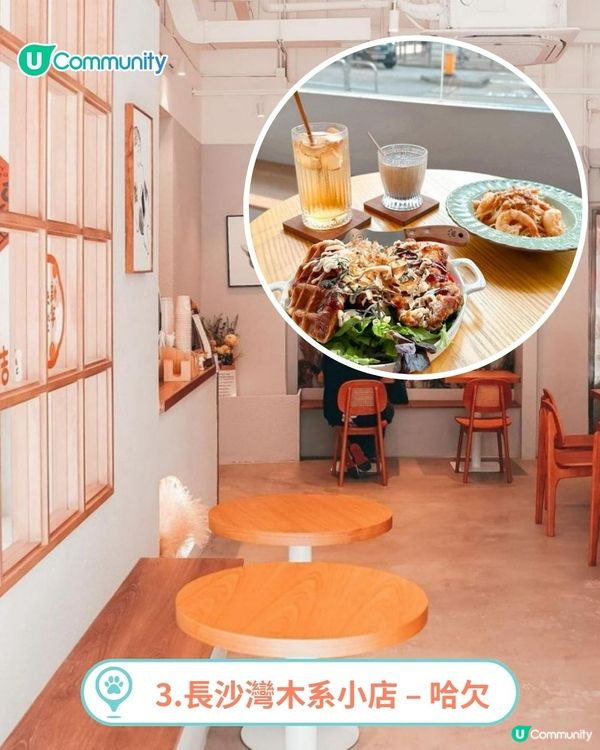 香港人氣寵物友善餐廳推介🐱🐶 | 貓狗都入得！特製寵物Pizza🍕