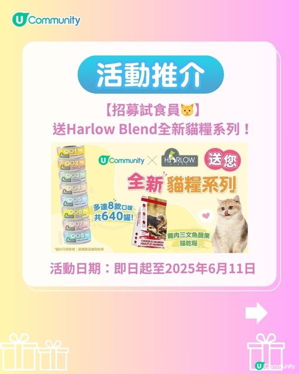 香港人氣寵物友善餐廳推介🐱🐶 | 貓狗都入得！特製寵物Pizza🍕