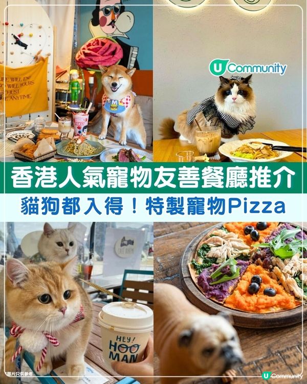 香港人氣寵物友善餐廳推介🐱🐶 | 貓狗都入得！特製寵物Pizza🍕