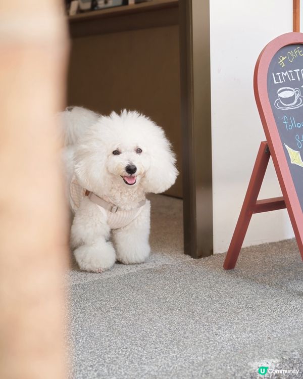 深水埗文青區新歇腳點 咖啡插畫師畫功細緻