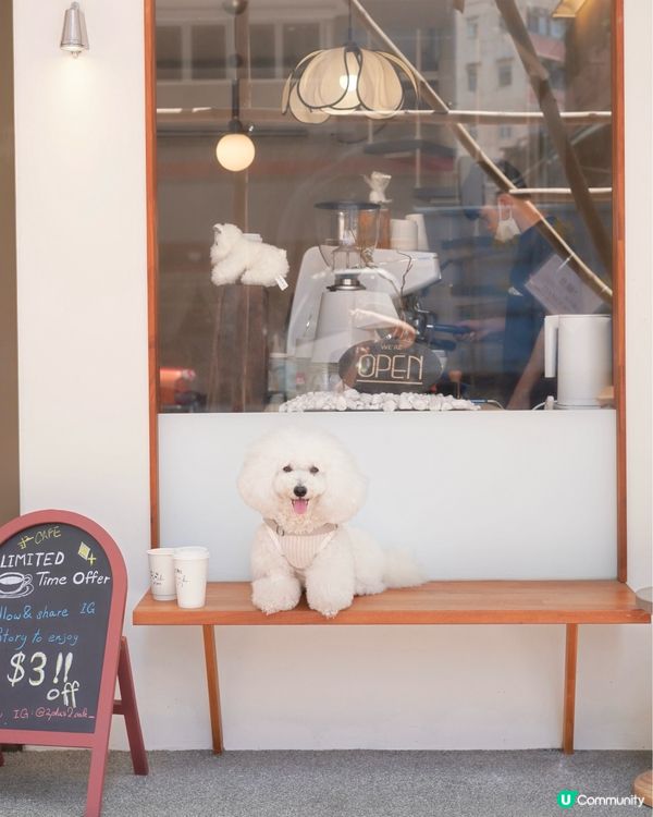 深水埗文青區新歇腳點 咖啡插畫師畫功細緻