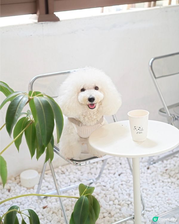 深水埗文青區新歇腳點 咖啡插畫師畫功細緻