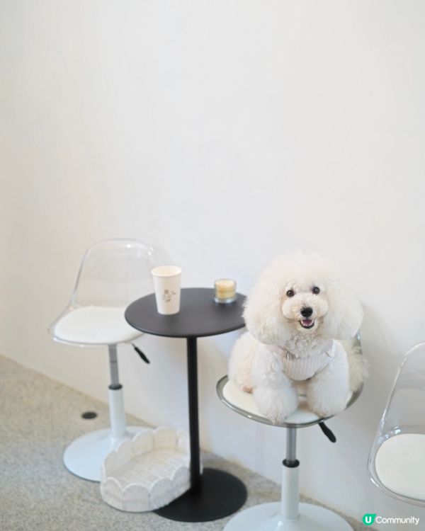 深水埗文青區新歇腳點 咖啡插畫師畫功細緻