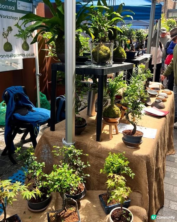 『英國』倫敦小日本市集