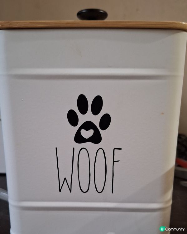 🐶 開箱啦！零食大放送！🤩