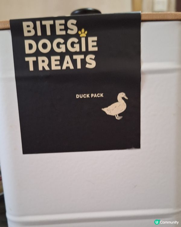 🐶 開箱啦！零食大放送！🤩