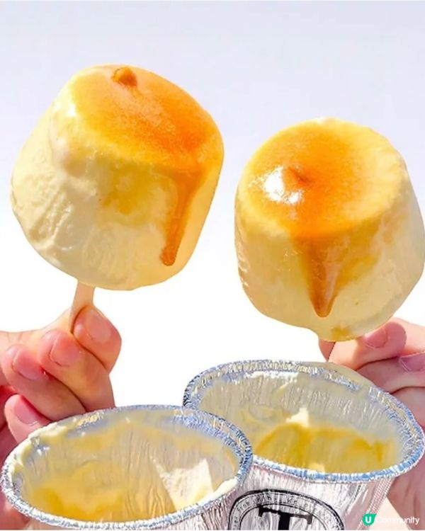 ［上年秒售🌟］今年載譽歸來既焦糖雪糕布甸