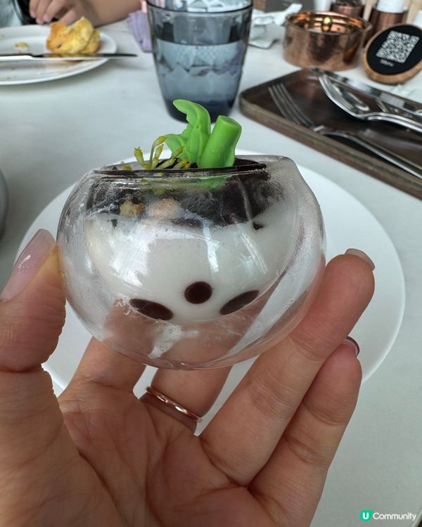 港島區休閒享受熊貓下午茶