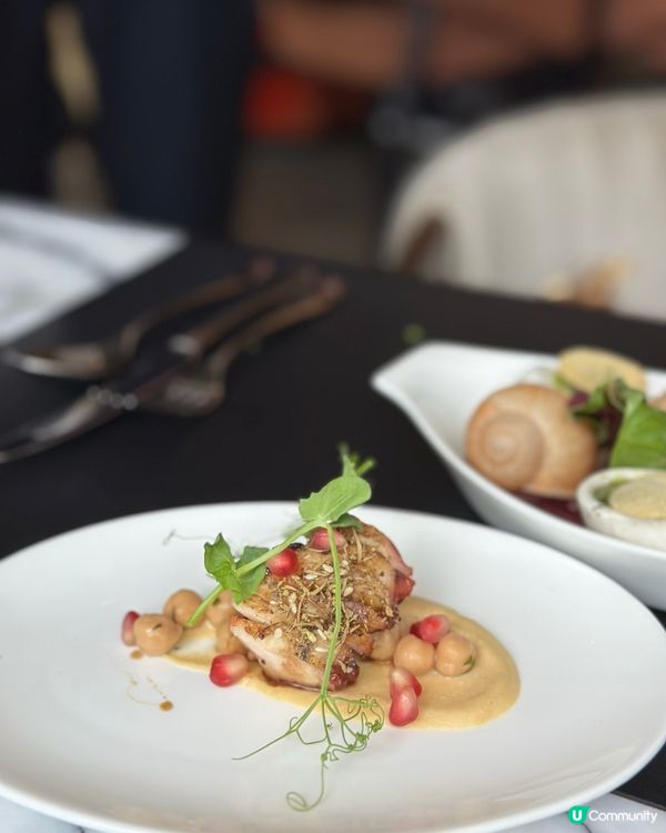 中環affordable法國菜fine dining✨