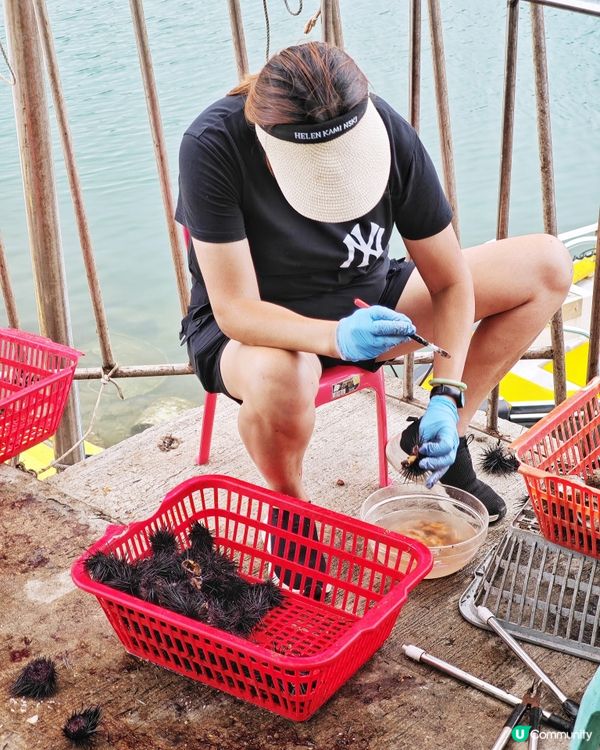 高質👍抵食💰海鮮🌊酒家