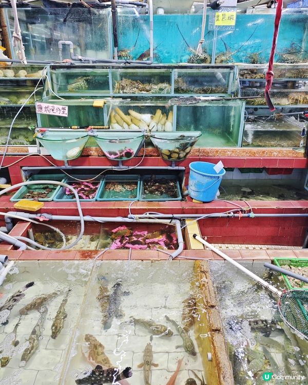 高質👍抵食💰海鮮🌊酒家