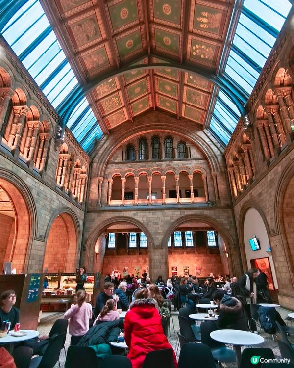 倫敦自然史博物館🏛 人氣藍鯨🐋，恐龍化石🦖🦕🐋