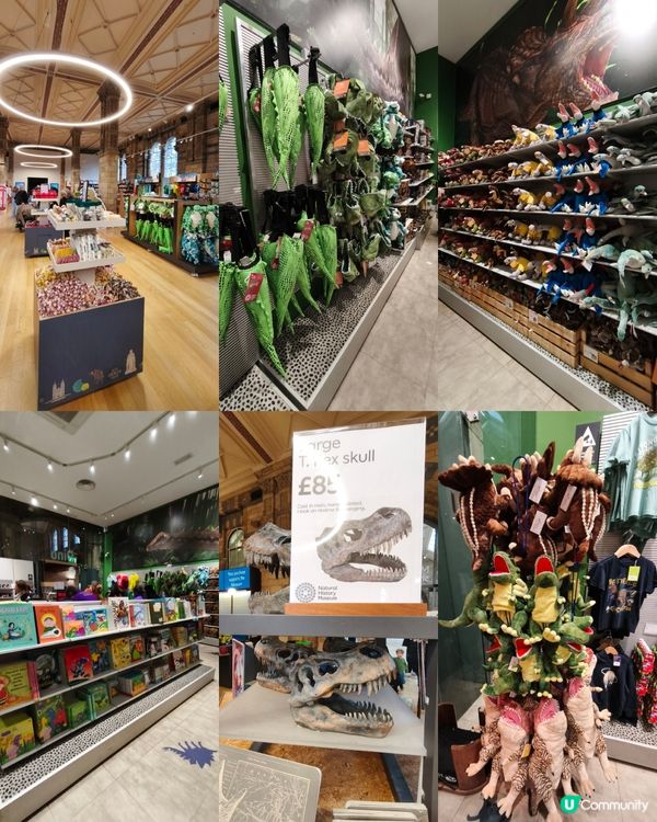 倫敦自然史博物館🏛 人氣藍鯨🐋，恐龍化石🦖🦕🐋