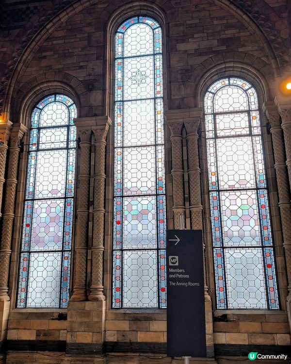 倫敦自然史博物館🏛 人氣藍鯨🐋，恐龍化石🦖🦕🐋