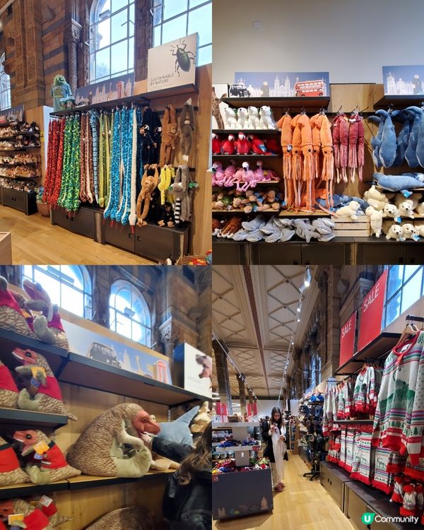 倫敦自然史博物館🏛 人氣藍鯨🐋，恐龍化石🦖🦕🐋