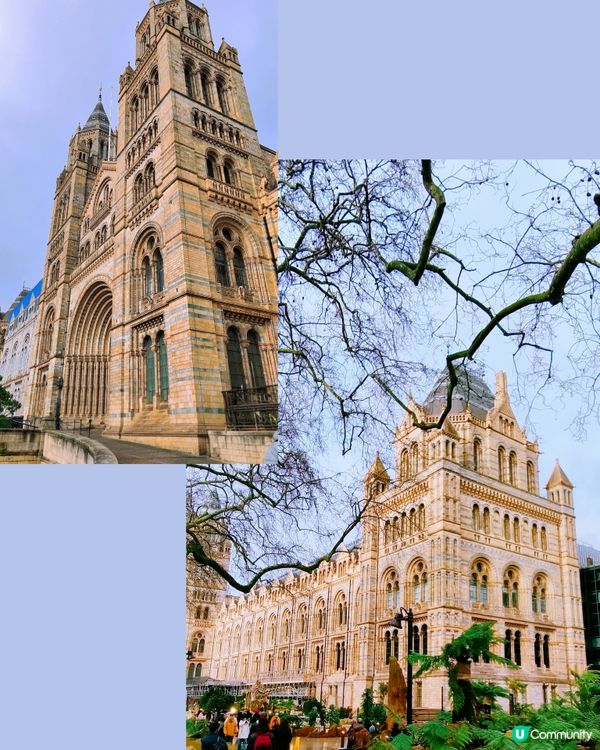 倫敦自然史博物館🏛 人氣藍鯨🐋，恐龍化石🦖🦕🐋