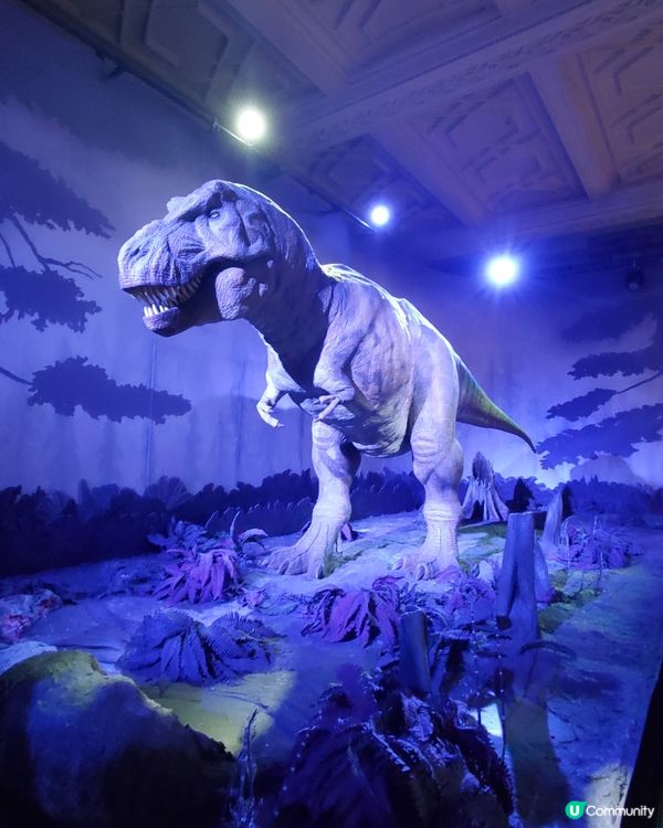 倫敦自然史博物館🏛 人氣藍鯨🐋，恐龍化石🦖🦕🐋