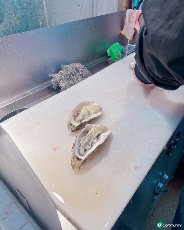 大阪木津市場海鮮攻略分享