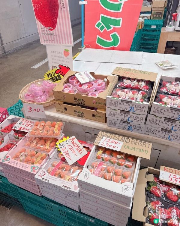 大阪木津市場海鮮攻略分享