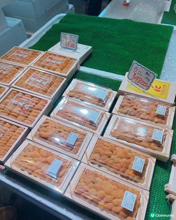 大阪木津市場海鮮攻略分享