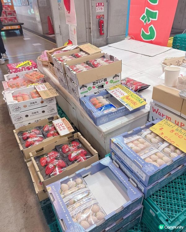 大阪木津市場海鮮攻略分享