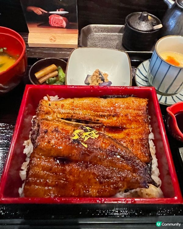 灣仔爐端燒蒲燒鰻魚丼🤤日本師傅主理