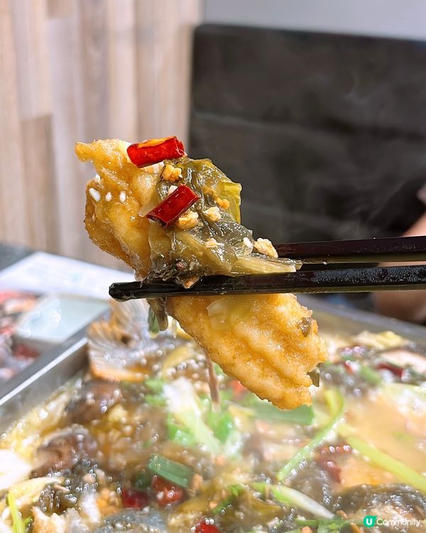 🎏$98任飲任食90分鐘‼️烤魚、雞煲、羊腩煲全部任你食🤪