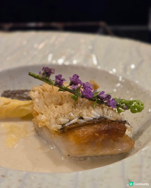 宮崎和牛與龍蝦之約