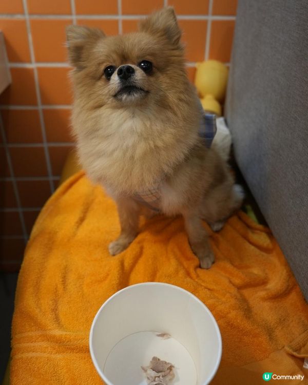 高雄泰式湯底小火鍋