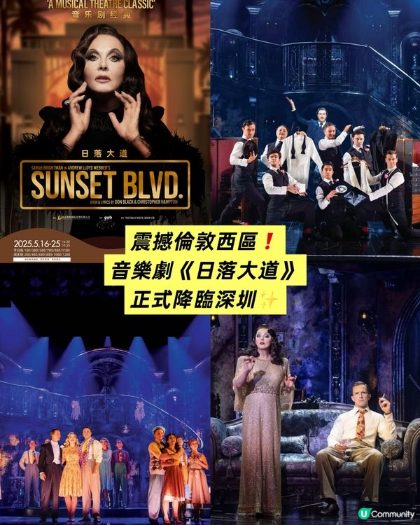 倫敦西區神劇💥《日落大道》深圳開唱！