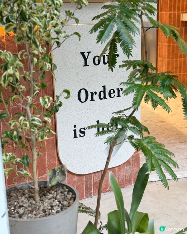 夏日消暑新選擇🍦 健康低脂乳酪雪糕😋