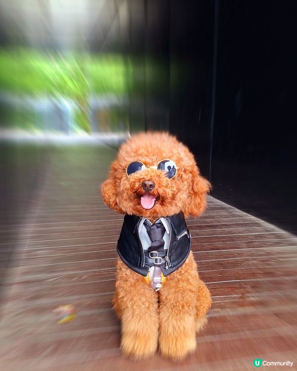 九龍城寨，重聚時！🤩 5月24日，城門大開！