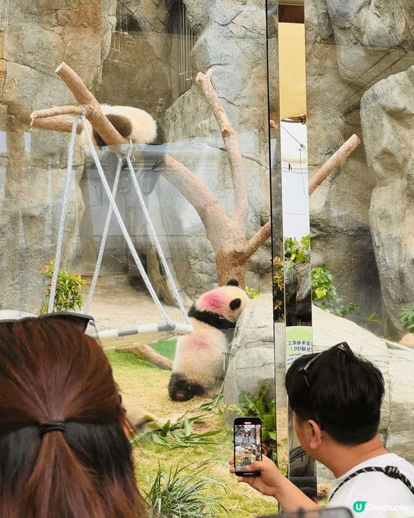 家姐細佬聞名不如見面，真係超得意！家姐文靜啲，全程瞓覺中😹細...