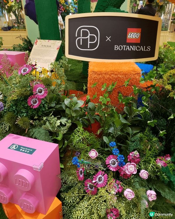 今天路經金鐘太古廣場，發現有一個名為「Where Brick...