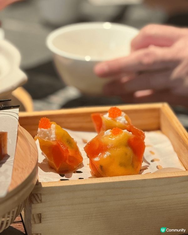 依家個個weekend都北上消費，近近哋返深圳，強烈推介呢一...