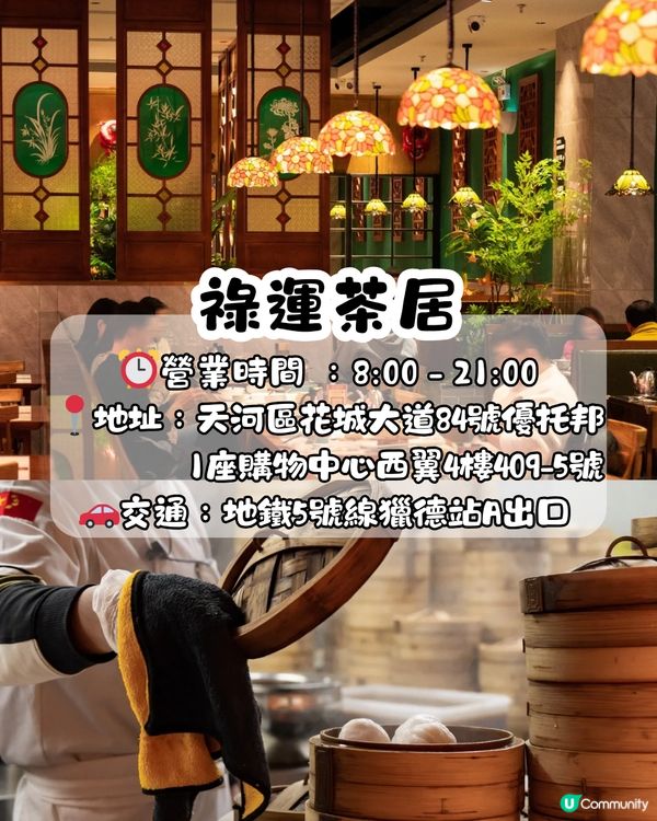 廣州飲茶6大早茶推介🫖開7點！全手工點心/百年老店/排隊6個鐘先食到‼️ 附交通教學