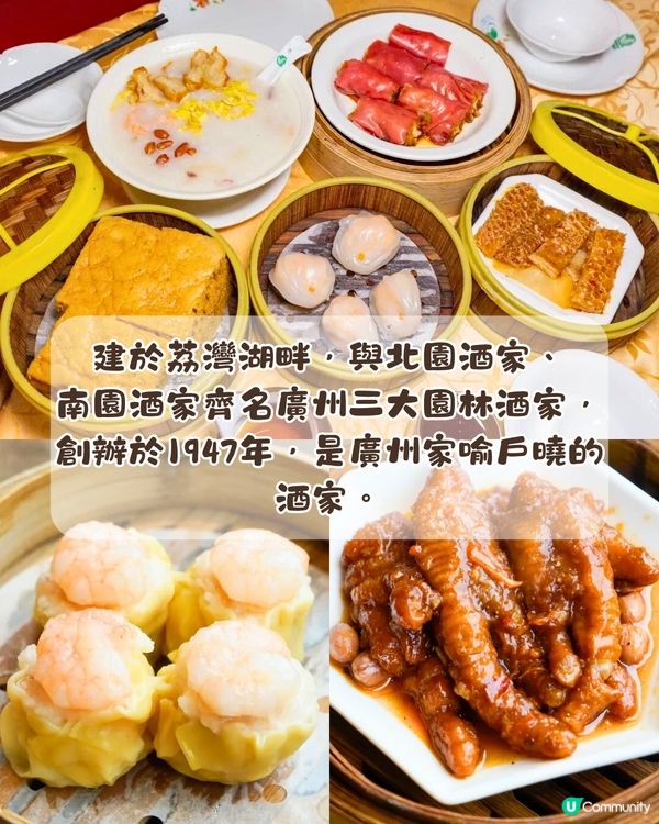 廣州飲茶6大早茶推介🫖開7點！全手工點心/百年老店/排隊6個鐘先食到‼️ 附交通教學