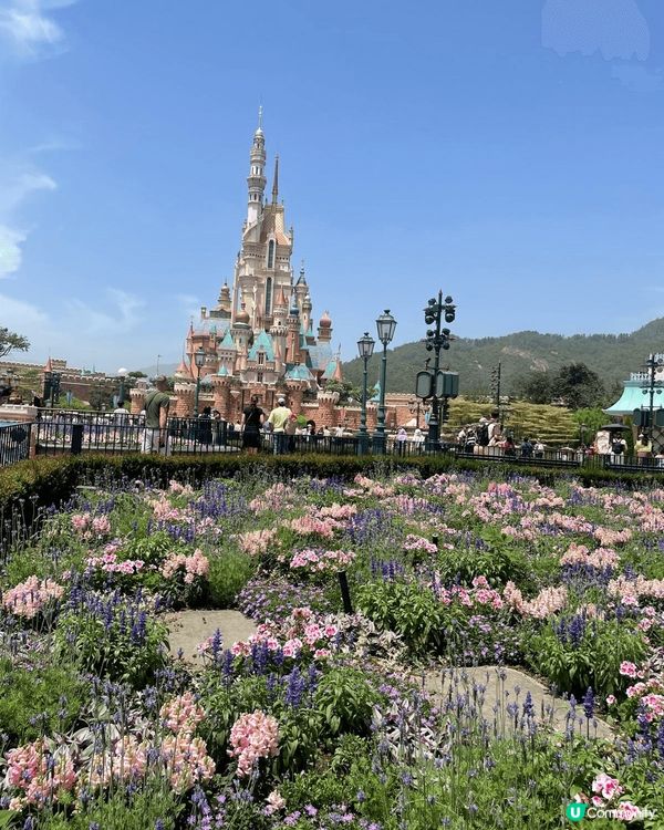 春日粉色迪士尼