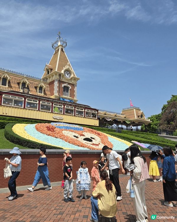 春日粉色迪士尼