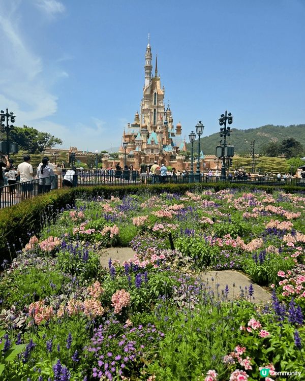 春日粉色迪士尼