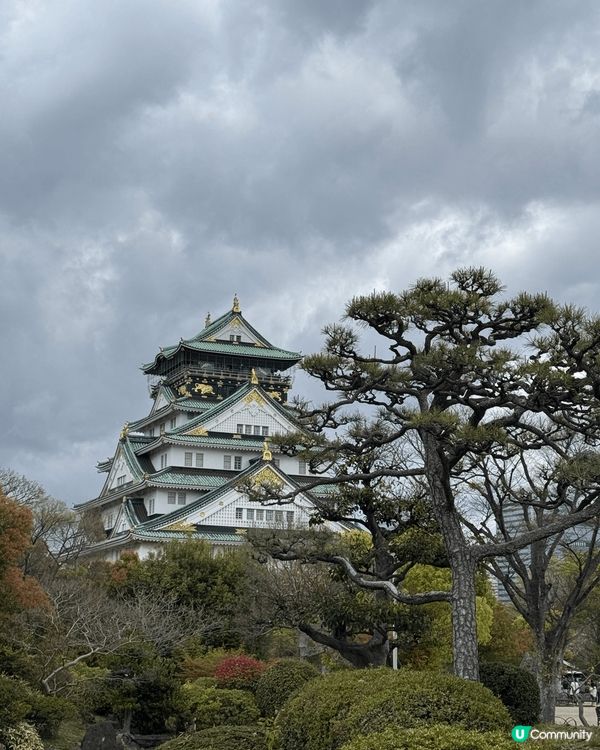 大阪城公園是大阪最著名的地標！大家來到大阪必然要去打卡！今日...